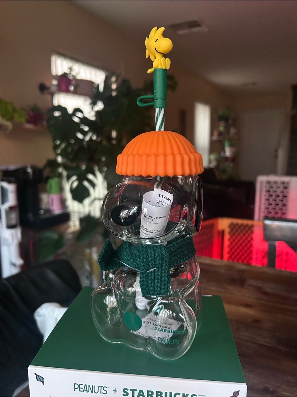 Starbucks Clear Bear Tumbler with Orange Lid and Green Scarf